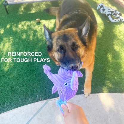 Jalousie Multipack Dog Squeaky Toys Strong Almost Indestructible, with Added Liner for Longer Play Dog Chew Toys (Medium to Large Breeds, 5 Pack Corduroy)