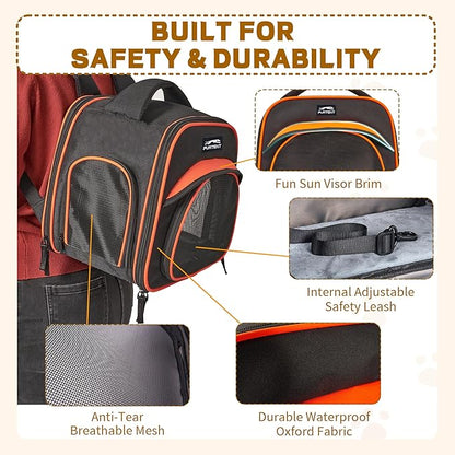 Cat Carrier Backpack, Breathable Collapsible Pet Bag with Safety Leash for Guinea, Kitten, Rabbit Weighing up to 8 Pounds Designed for Travel, Hiking, Walking and Outdoor Use, Black-Orange