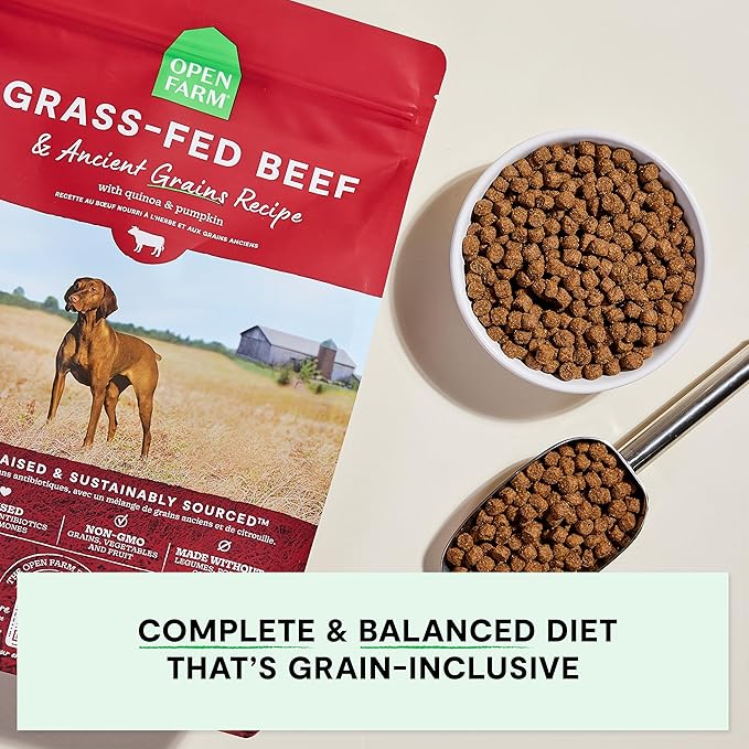 Open Farm, Ancient Grains Dry Dog Food, Protein-Rich & Nutrient Dense, 90% Animal Protein Mixed with Non-GMO Fruits, Veggies and Superfoods, Grass-Fed Beef Recipe, 4lb Bag