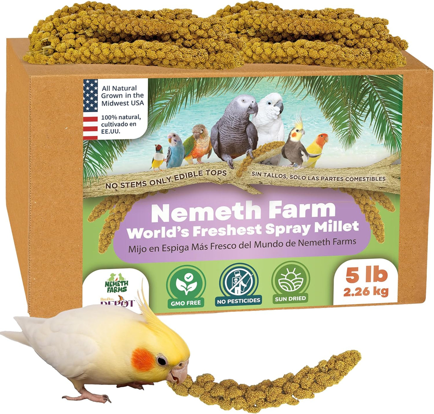 Nemeth Farms Worlds Freshest GMO-Free, Sun Dried Spray Millet No Stems Only Edible - Tops-Original Bird Treat and Supplement for Pet Birds Parakeets, Cockatiels, Lovebirds and Finches - 5lbs