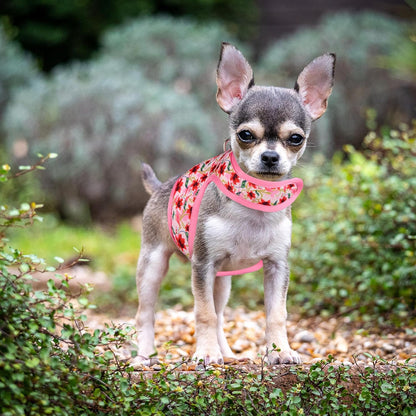 Mile High Life Dog Harness, Air Mesh Floral Vest Harness for 20 lbs Small Dogs & Cats, Easy Get on Adjustable Easy Closures Both Neck and Chest(Lily, S Chest 16"-18")