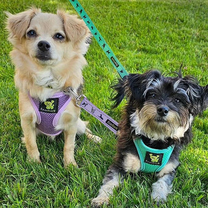 EcoBark Step in Dog Harness - Eco-Friendly Dog Harnesses for Small and Medium Breed Dogs - Reflective and Adjustable Body Halter Vest - Soft Mesh Toy Breed Harness (Lavender, XL)
