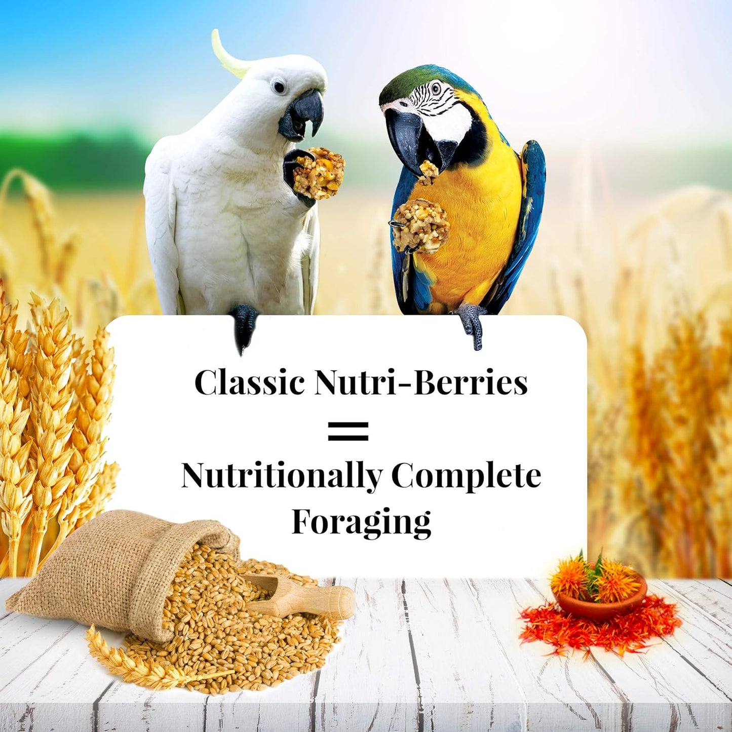 LAFEBER'S Classic Nutri-Berries Pet Bird Food, Made with Non-GMO and Human-Grade Ingredients, for Macaws and Cockatoos, 10 oz