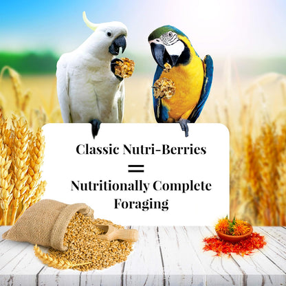 LAFEBER'S Classic Nutri-Berries Pet Bird Food, Made with Non-GMO and Human-Grade Ingredients, for Macaws and Cockatoos, 10 oz