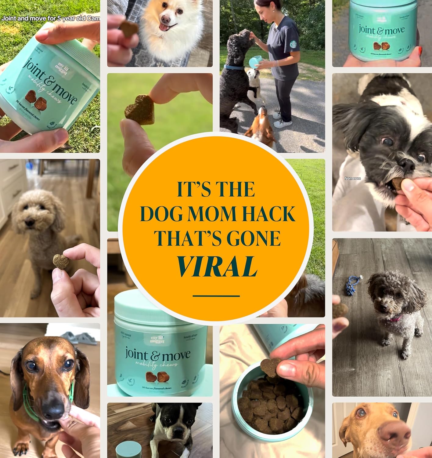 My Lil’ Nugget – Vet-Approved Natural Hip and Joint Support for Dogs | Glucosamine, Chondroitin & Hemp | Mobility & Dog Arthritis Pain Relief | All-Ages – Senior Dog to Puppy | 90 Bacon Flavor Chews