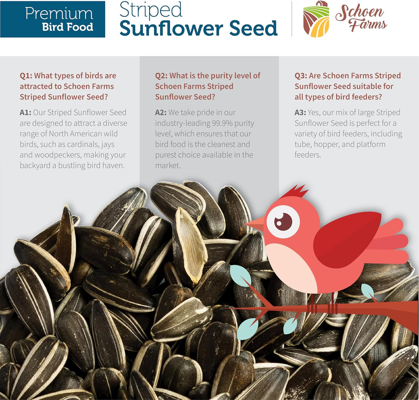 Schoen Farms Striped Sunflower Seeds – Hulled Wild Bird Food – 3 lb Bag – Clean, No-Mess Bird Seed for Finches, Jays & Cardinals