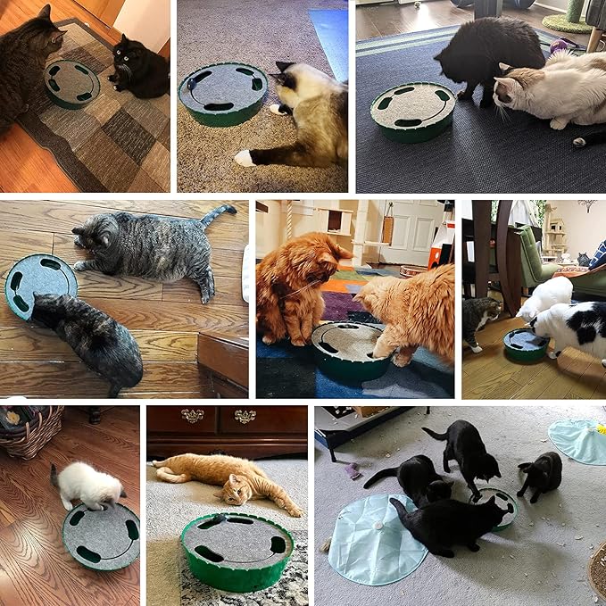 Pawaboo Interactive Toy with Running Mouse, Electronic Motion Cat Toy Automatic Teaser, Pop and Play Hide Seek Cat Toys Hunting Mouse, Pink