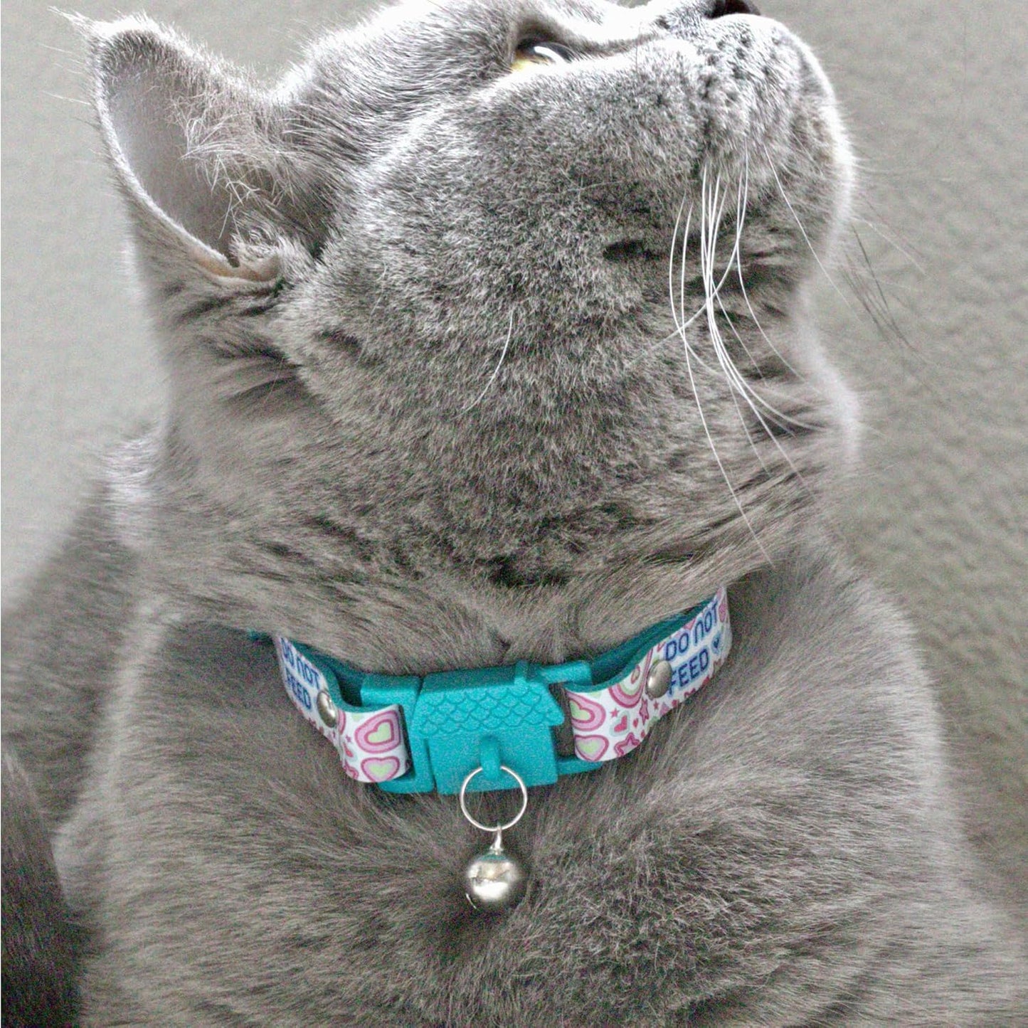 New Kittyrama No Feed Cat Collar with Bell. Breakaway, Quick Release, Hypoallergenic, Vet Approved. Lightweight Kitten Collar. As Seen in Vogue. Soft & Comfy. Pearl
