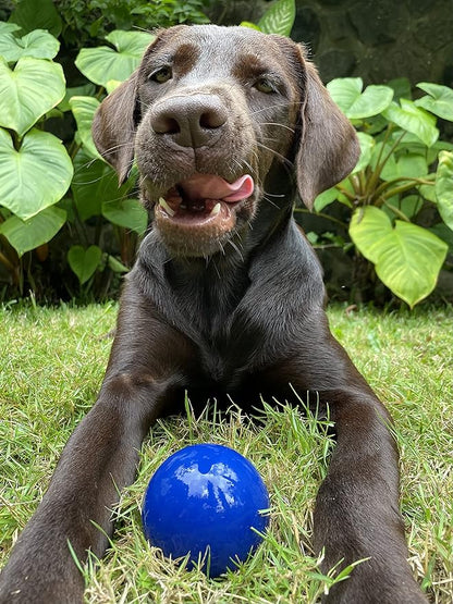 SuperChewy Tough Dog Ball Toy | Strong Natural Rubber | Great Dog Fetch Toy | Chew Toy for Dogs | Ultra Durable Chew Toy for Aggressive Chewers
