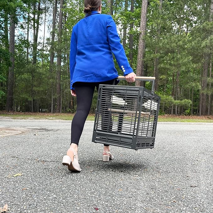 ZooPro Pet Travel Cage - Durable Metal Small Pet Carrier - for Sugar Gliders, Hedgehogs, Squirrels, Guinea Pigs, Hamsters, Rats, Parrots, Finches, Parakeets, & Other Small Mammals and Birds