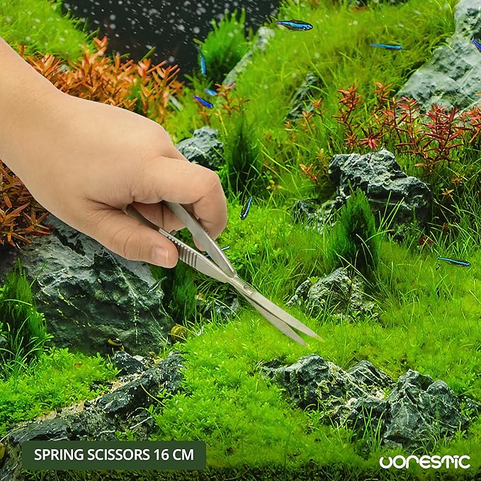 Aquascaping Scissors - 6.3 Inch, Terrarium & Aquarium Scissors for Plants