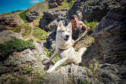 Puppytie Dog Harness & Multi-Function Leash Set - No Pull Function, Easy Walk Design - Camouflage Brown, Size M