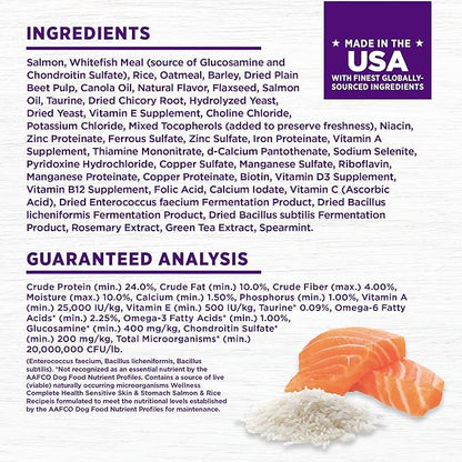 Wellness Complete Health Sensitive Skin & Stomach Dry Dog Food, Wholesome Grains, Natural, Salmon & Rice Recipe, (24-Pound Bag)