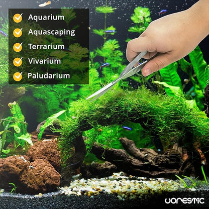 Aquascaping Scissors - 6.3 Inch, Terrarium & Aquarium Scissors for Plants