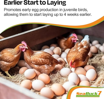 Chicken & Bird Supplement with Sea Buckthorn to Improve Egg Quality (1-Month Supply for 20 Chickens) – Earlier Laying, Egg Production Booster & Higher Quality Eggs