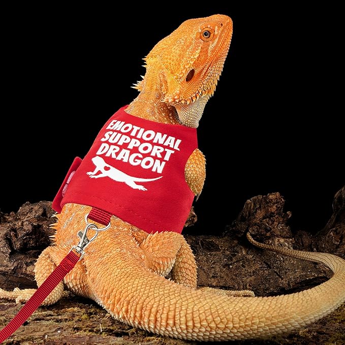 Bearded Dragon Harness and Leash Set - Escape Proof Adjustable Lizard Reptiles Harness with 5 ft Short Leash for Walking Outdoor