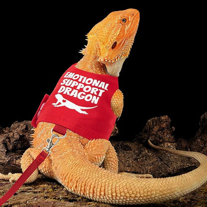 Bearded Dragon Harness and Leash Set - Escape Proof Adjustable Lizard Reptiles Harness with 5 ft Short Leash for Walking Outdoor