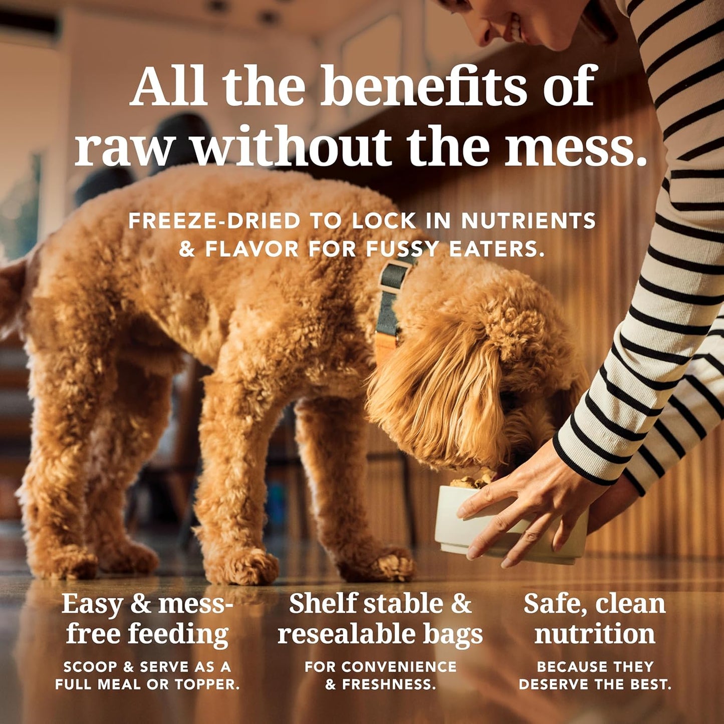 K9 Natural Lamb and Venison Freeze Dried Dog Food, High-Meat and Natural Complete Meal or Meal Toppers for Dogs, Grass-Fed Lamb and Venison from New Zealand, Grain-Free, GMO-Free, 17.6 Ounces