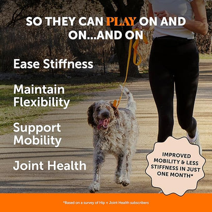 Pet Honesty Hip & Joint Health Soft Chews for Dogs, Joint Supplement with Glucosamine Chondroitin, MSM, Turmeric, Joint Support + Mobility, May Reduce Occasional Discomfort (Chicken 90 Count)