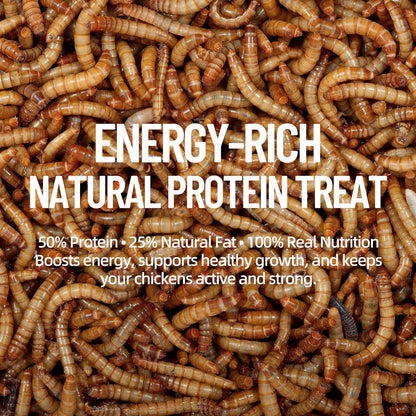 10LB Premium Non-GMO Dried Mealworms - High-Protein Natural Feed & Chicken Treats for Chickens, Ducks, Wild Birds, Quails & Reptiles - Support Egg Production & Feather Growth