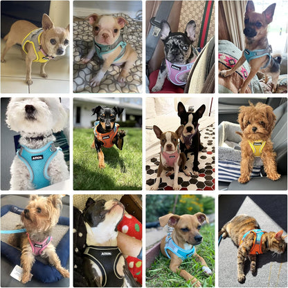 AIITLE Dog Harness, Summer No-Pull Cat Harnesses with a Leash, Adjustable Reflective Puppy Vest, Pet Vest Escape Proof, Outdoor Walking, Camping for Extra Small Dogs and House Cats Yellow XXXS