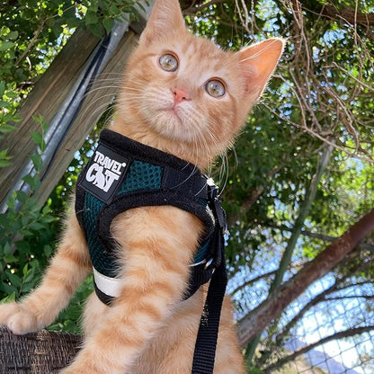 Travel Cat The Emerald Explorer Limited Edition Green Harness and Leash Set - Adjustable Fit Mesh Cat Harness with Reflective Strap - Escape Proof Harness for Cats, Kitten (Large)