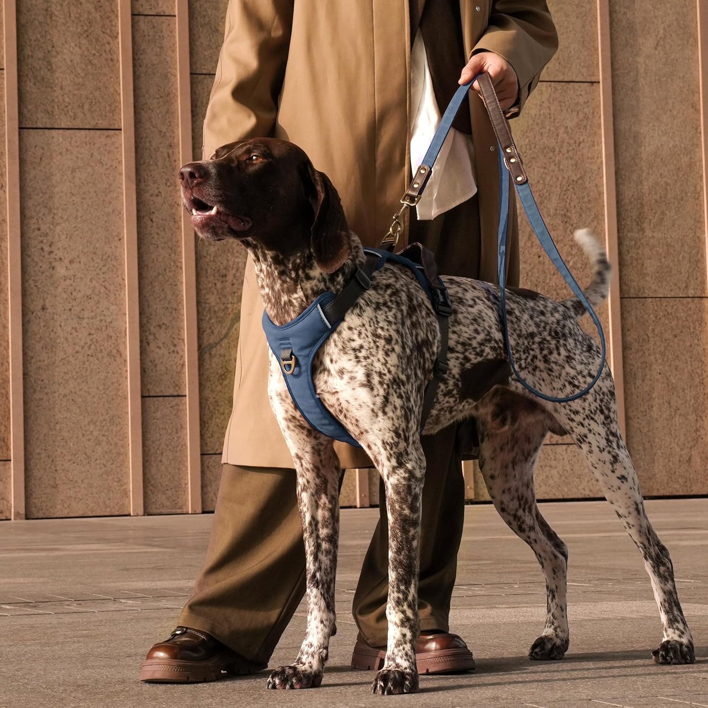 No Pull Dog Harness Medium Sized Dog,Stylish PU Leather Vest with Easy Control Handle,No Choke Front Clip with 2 Metal Leash Clips,Reflective & Adjustable for Walking,Blue,Chest 27-33"
