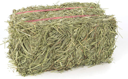 Grandpa's Best Timothy Hay Bale, 40 oz