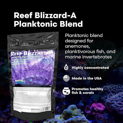 Brightwell Aquatics Reef Blizzard-A – High-Protein Planktonic Blend for Anemones, Planktivorous Fish & Marine Invertebrates – Enhances Color & Growth, 100g