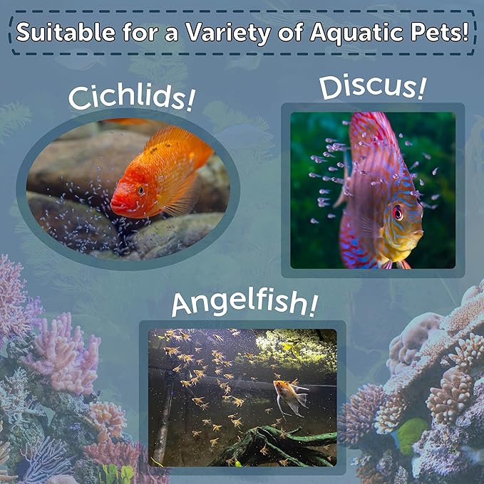 Aquatic Foods Inc. Brine Shrimp Eggs Premium Grade 90% Hatch Rate, Great Salt Lake Artemia Brine Shrimp Eggs. - 25 Grams - .88oz