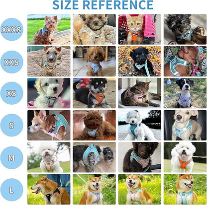 AIITLE XXS Dog Harness & Leash Set - Breathable Reflective No-Choke Small Dog Harness for Teacup Puppies, Indoor/Outdoor Use - Boston Terrier, Maltese, Chihuahua (Sage, XXS)