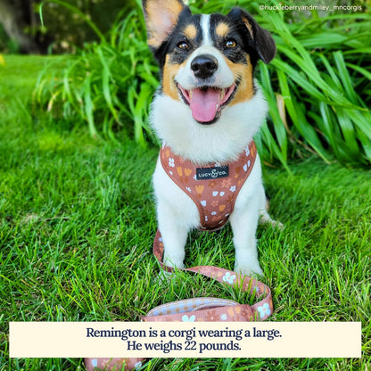 Lucy & Co. 5 Foot Designer Dog Leash for Small, Medium or Big Dogs or Puppies Puppy - Pet Accessories & Supplies -(Chocolate Meadow, Large)