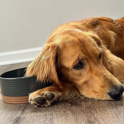 Mora Ceramic Pet Bowl Size Medium - Food/Water Dish for Large Puppies, Cats, Retrievers, Medium Sized Dogs, ect. 28oz or 4 Cups - Basic Bowls for Your Dog or Cat, Mix and Match for a Set - Charcoal