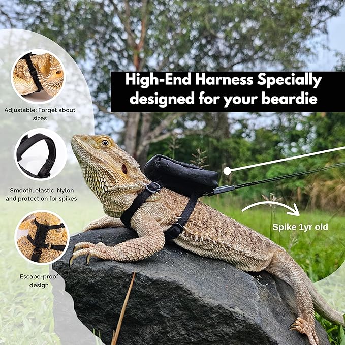 Adjustable Bearded Dragon Leash and Harness Set, Leopard Gecko Leash, Wings & Butterfly Wings, Comfortable Fit, Retractable and Escape-Proof Lizard Harness and Leash, Bearded Dragon Accessories.