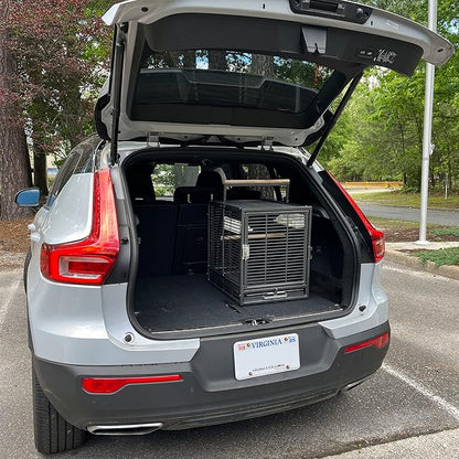 ZooPro Pet Travel Cage - Durable Metal Small Pet Carrier - for Sugar Gliders, Hedgehogs, Squirrels, Guinea Pigs, Hamsters, Rats, Parrots, Finches, Parakeets, & Other Small Mammals and Birds