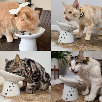 Necoichi Raised Cat Food Bowl – Ceramic Elevated 15° Tilted Cat Bowl for Whisker & Neck Fatigue, Dishwasher Microwave Safe – Non-Slip & Anti Vomiting Ergonomic Design (Cats, Extra Wide Tilted)