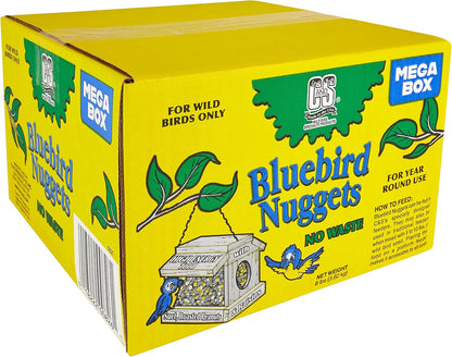 C&S Wild Bird Bluebird Suet Nuggets Mega Box, 8 Pounds