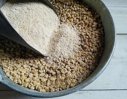 Fresh Eggs Daily Brewer's Yeast with Garlic Powder and Niacin for Ducks Ducklings Feed Supplement Vitamins for Backyard Chickens 5LB