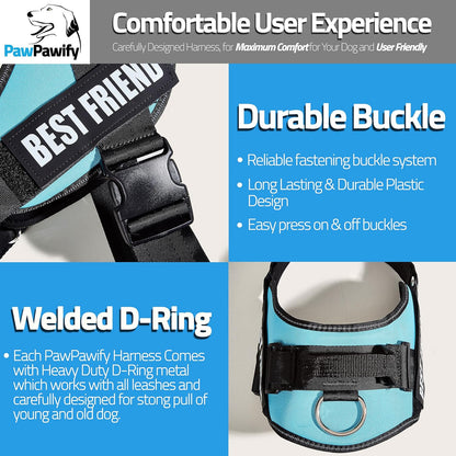 PawPawify Custom No Pull Dog Harness with Name and Phone Number, Heavy Duty Personalized Pet Vest to Prevent Tugging, Pulling, or Choking, Training and Walking (Sky Blue, M (Chest 20-24in))