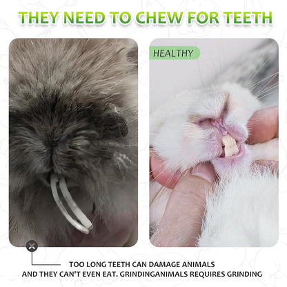 Rabbit Toys 13Pcs, Natural Hay Hamster Chew Toys for Teeth, Handmade Apple Wood Sticks Guinea Pig Bunny Toys Bunny Bed