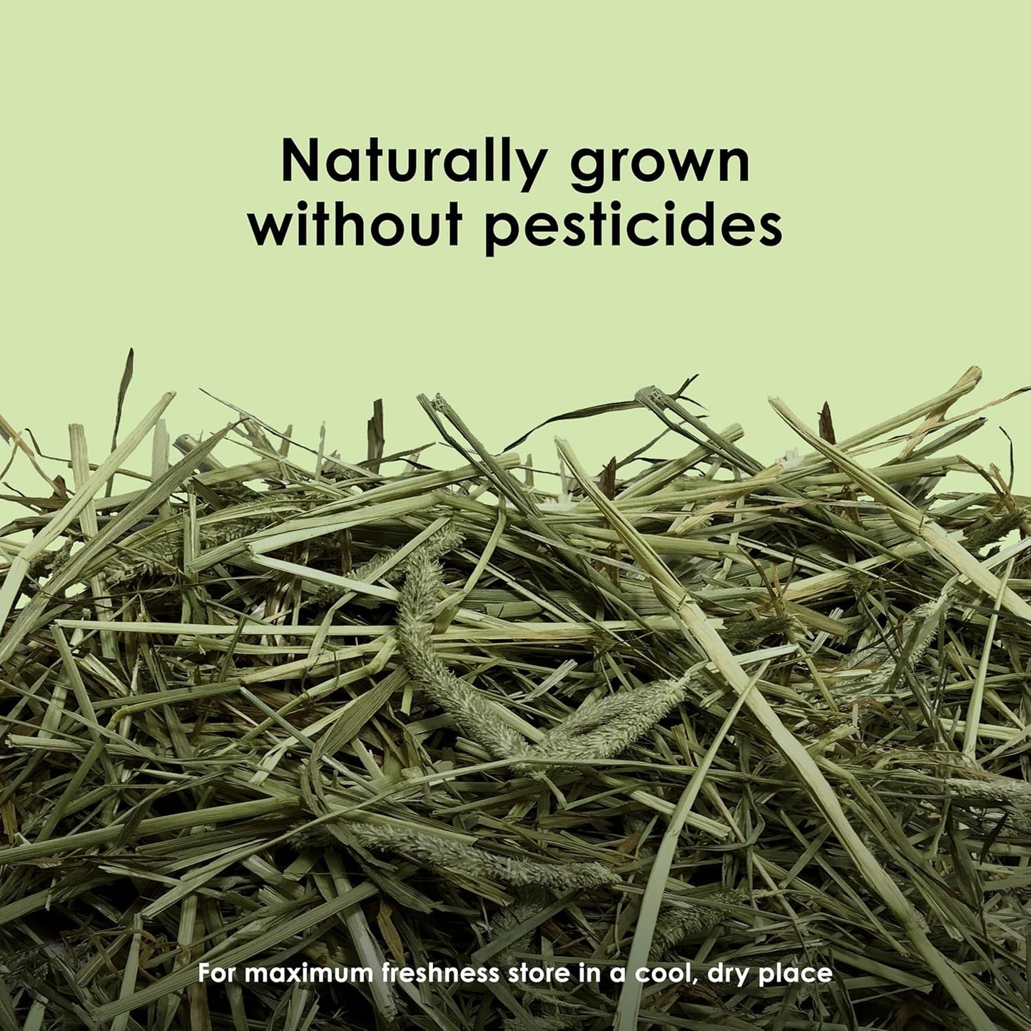 Kaytee Timothy Hay, High Fiber, Grown Specifically for Small Animals, Rabbits, Guinea Pigs, Chinchillas, Ideal Bulk Order for Small Pets, 12 pounds