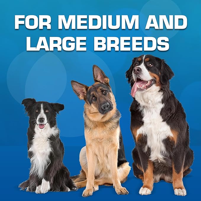 Nerf Dog Blitz Squeak Football Outdoor Dog Toy, 7 Inch Dog Football Squeaking Toy for Medium and Large Breeds, Green