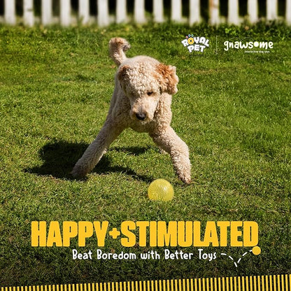 Gnawsome™ 4.5” Spiky Squeaker Ball Dog Toy - Extra Large, Cleans Teeth and Promotes Good Dental and Gum Health for Your Pet, Colors will vary, 4.5"