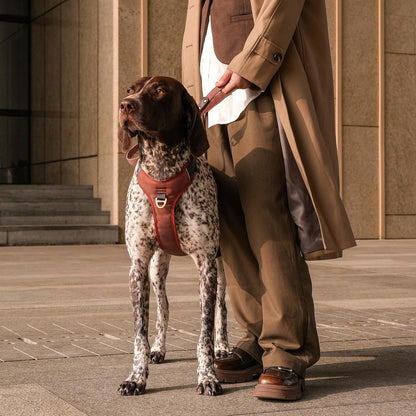 No Pull Dog Harness Medium Sized Dog,Stylish PU Leather Vest with Easy Control Handle,No Choke Front Clip with 2 Metal Leash Clips,Reflective & Adjustable for Walking,Brown,Chest 27-33"