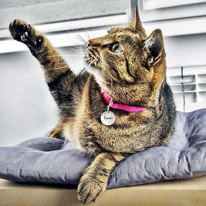 Anavia Small Size Dog Cat ID Tags, Small/XS Personalized Color Plated Stainless Steel Puppy Kitten Name Tags, Customized Engraved Nameplate Pet Collar Tag (Purple, Round)