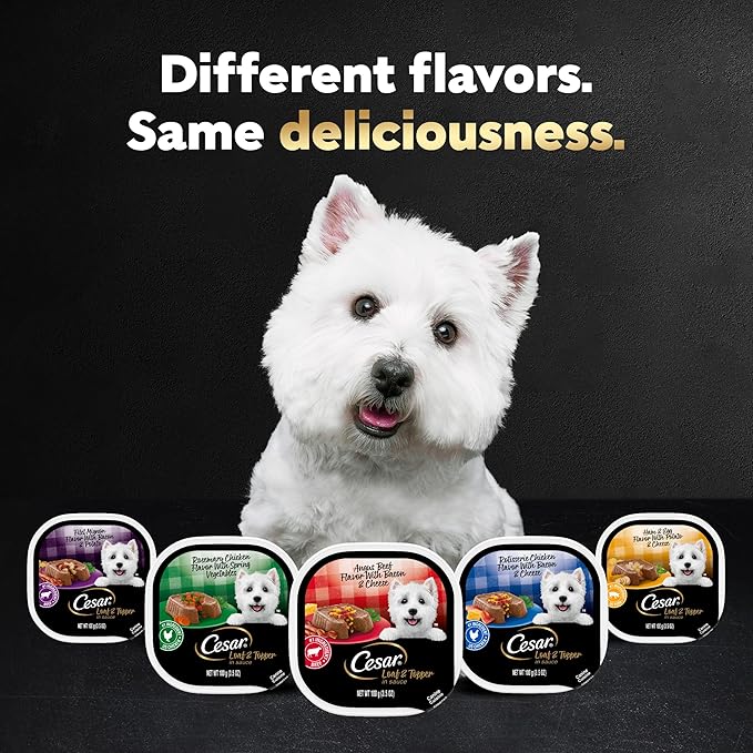 Cesar Wet Dog Food Loaf in Sauce Rotisserie Chicken Flavor with Bacon & Cheese and Filet Mignon Flavor with Bacon & Potato Variety Pack, 3.5 oz. Easy Peel Trays (12 Count, Pack of 2)