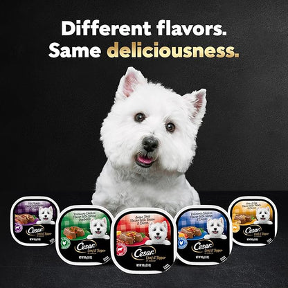Cesar Wet Dog Food Loaf in Sauce Rotisserie Chicken Flavor with Bacon & Cheese and Filet Mignon Flavor with Bacon & Potato Variety Pack, 3.5 oz. Easy Peel Trays (12 Count, Pack of 2)