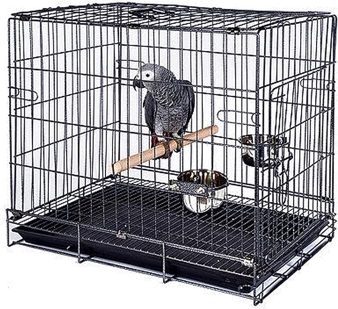 Easy Portable Foldable Travel Vet Bird Parrot Cage Carrier Handle with Stainless Feeder Bowls and Natural Wooden Stand Perch Prevent Beaks Out