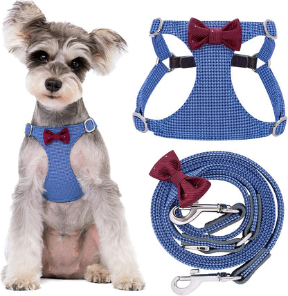 Puppytie No Pull Small Dog Harness with Multifunction Dog Leash,Lightweight Soft Adjustable No Choke Escape Proof Pet Harness Vest Pet Harness Vest,Plaid Blue,S