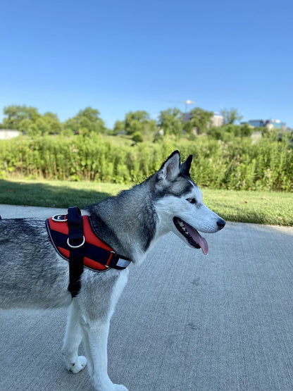 ShawnCo Essential Dog Harness, No-Pull Pet Vest with 3 Leash Clips, No Choke, Reflective, Adjustable and Padded, for Easy Walking and Training for Small, Medium and Large Dogs (Mustang Red, M)